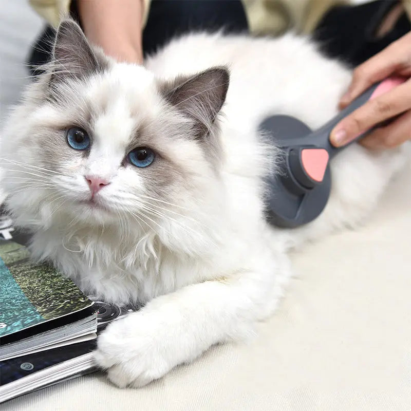 Cat Comb To Remove Floating Hair Infinite Finds